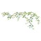 Flower Vine Wall Stencil | 2178 by Designer Stencils | Reusable Art Craft Stencils for Painting on Walls, Canvas, Wood |